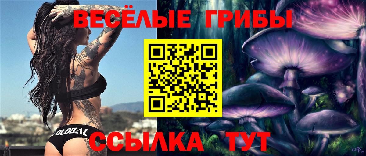Галлюциногенные грибы Psilocybine cubensis  Вход с VPN  Псилоцибиновые грибы ЛСД  Зеленокумск 